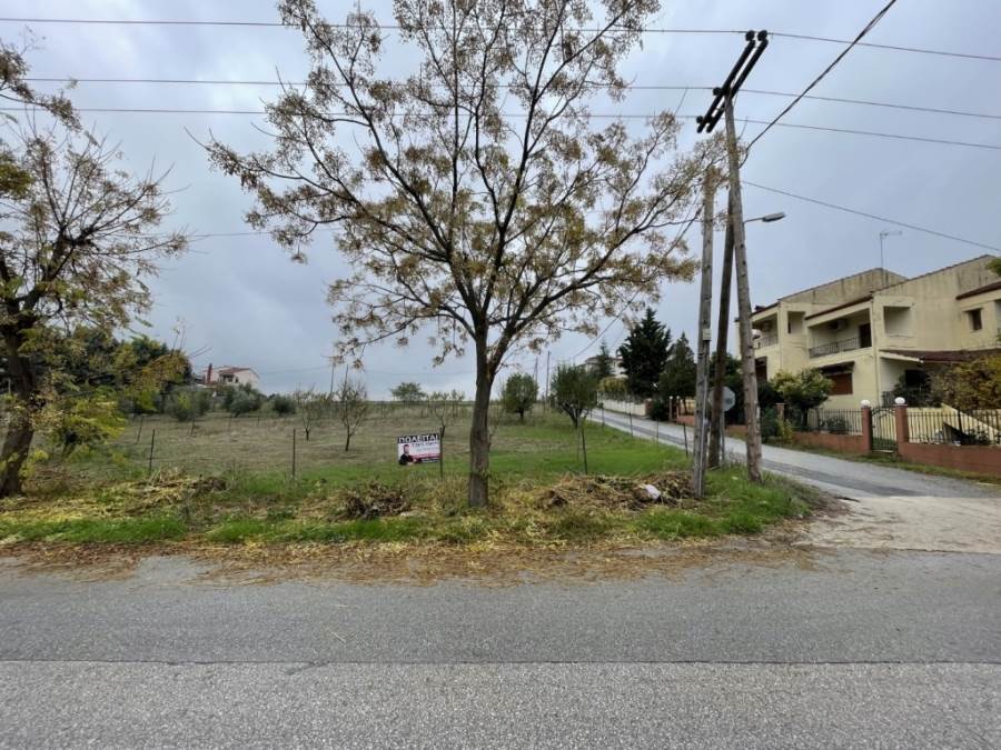 (For Sale) Land Plot || Larissa/Larissa - 625 Sq.m, 49.500€ 