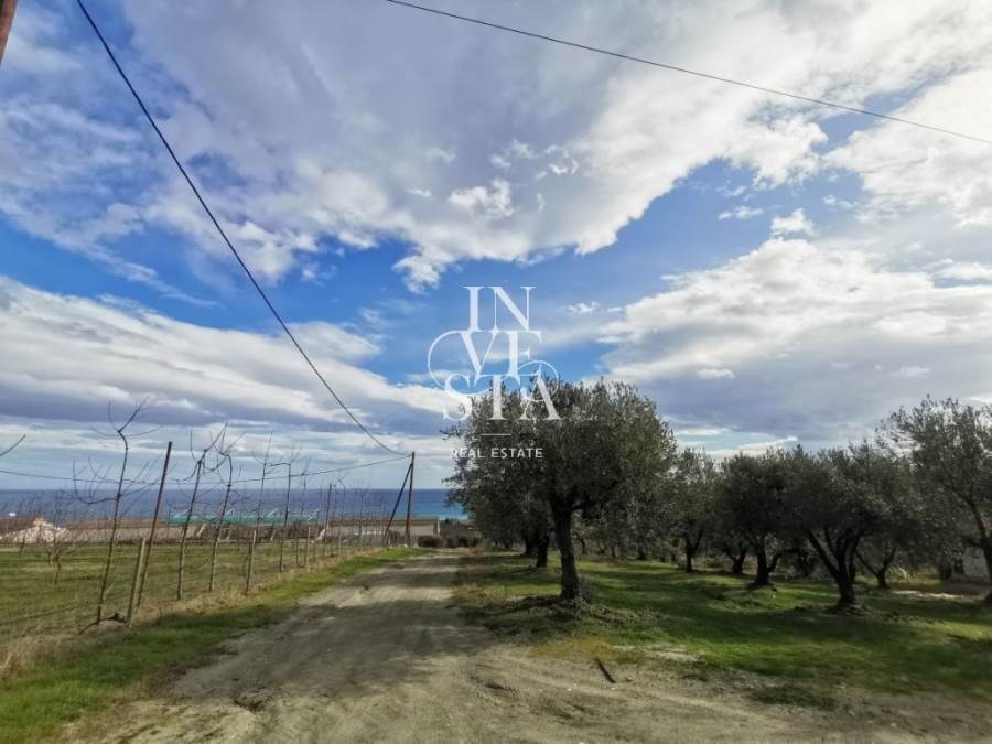 (For Sale) Land Agricultural Land  || Larissa/Melivoia - 460 Sq.m, 15.000€ 