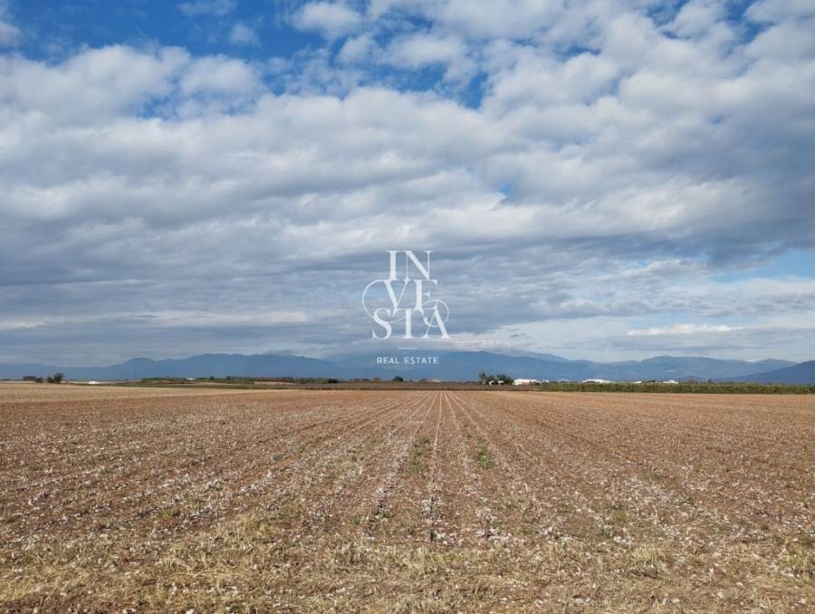 (For Sale) Land Agricultural Land  || Larissa/Giannouli - 14.600 Sq.m, 150.000€ 