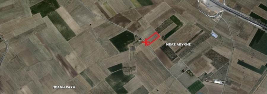 (For Sale) Land Agricultural Land  || Larissa/Nikaia - 6.000 Sq.m, 13.800€ 