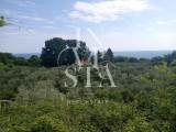 slide thumbnail
