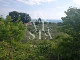 slide thumbnail